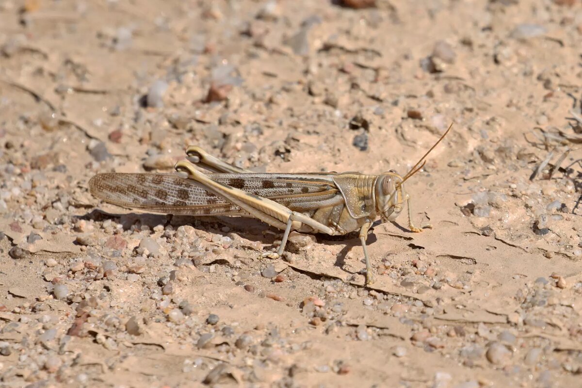 Фотография из интернета