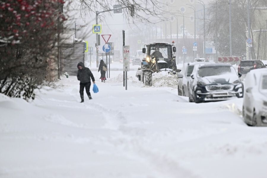     / Источник: © Максим Богодвид/РИА Новости