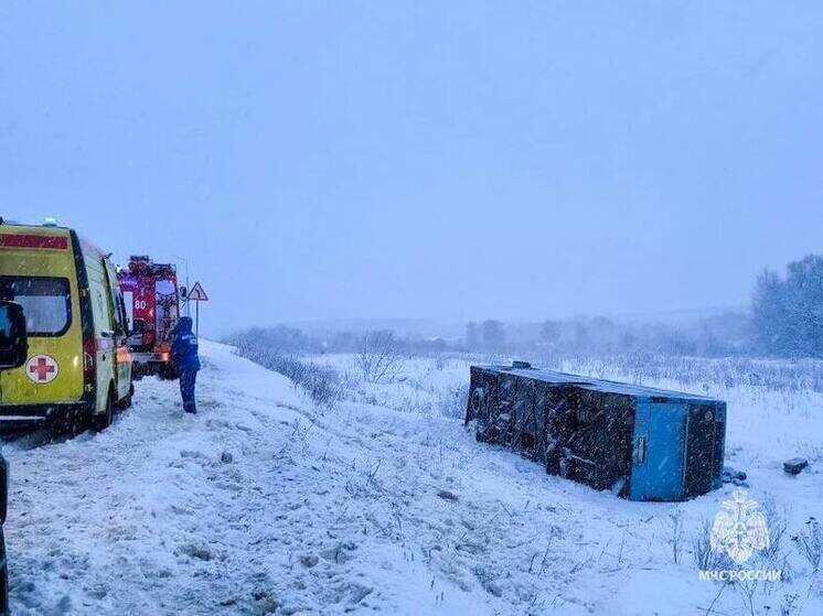     Фото: ГУ МЧС России по Тульской области