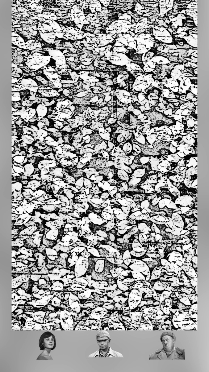 Тест на воображение и остроту зрения 