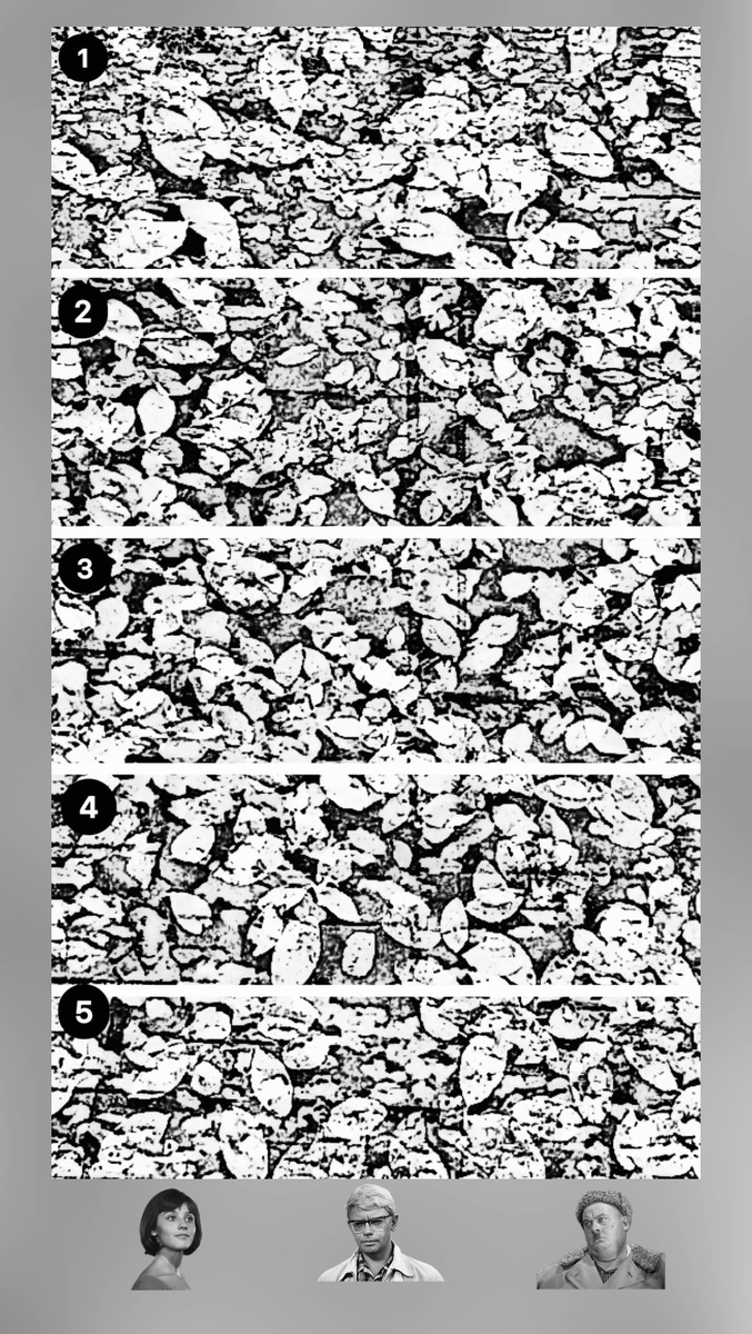 Картинка автора