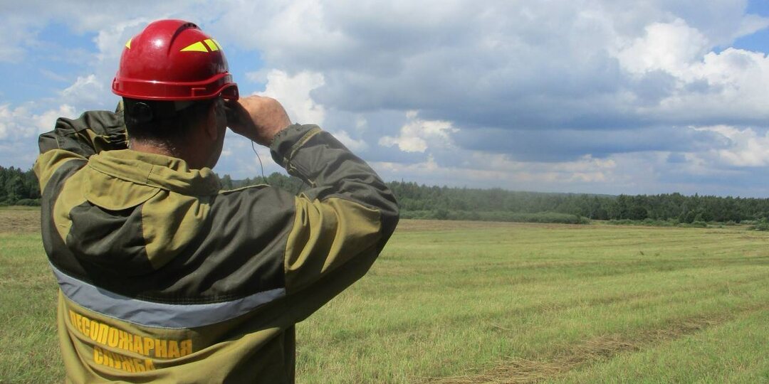 В Смоленской области выросла площадь общедоступных охотничьих угодий