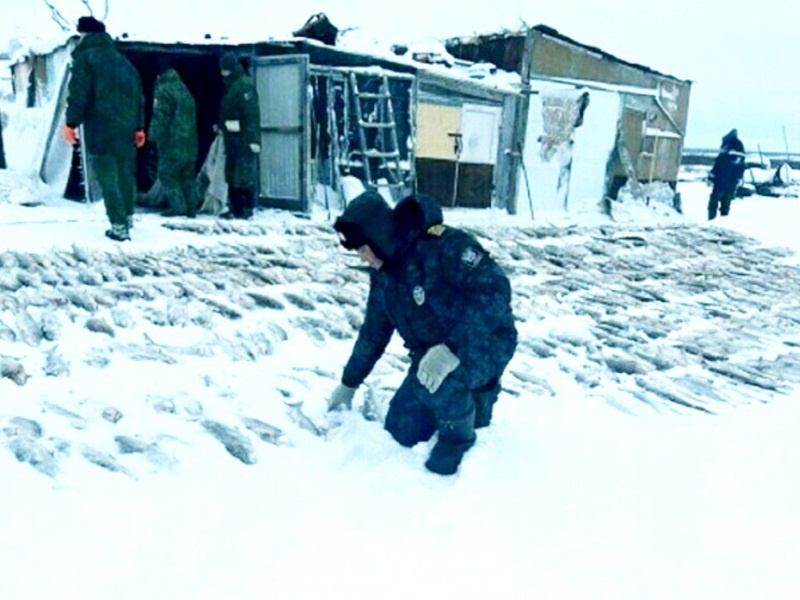 Неплохо порыбачили