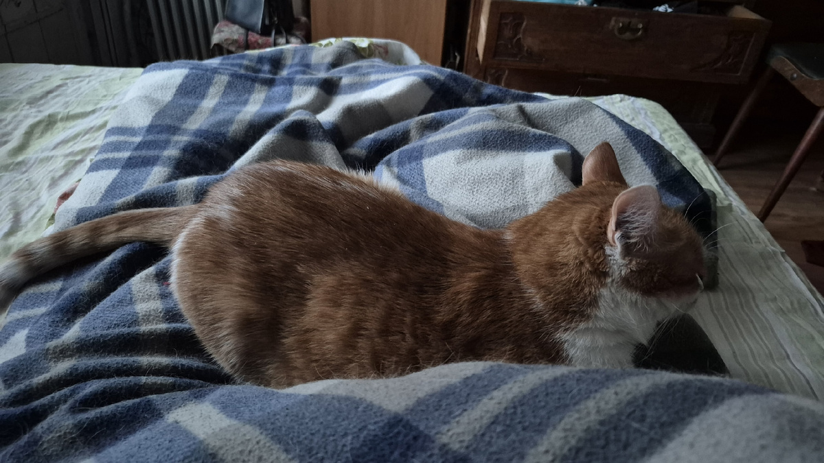 утро, ложимся спать второй раз