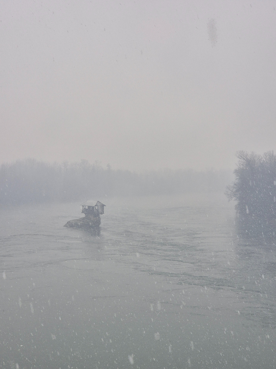 Олицетворение силы и стойкости невзирая на внешний вид