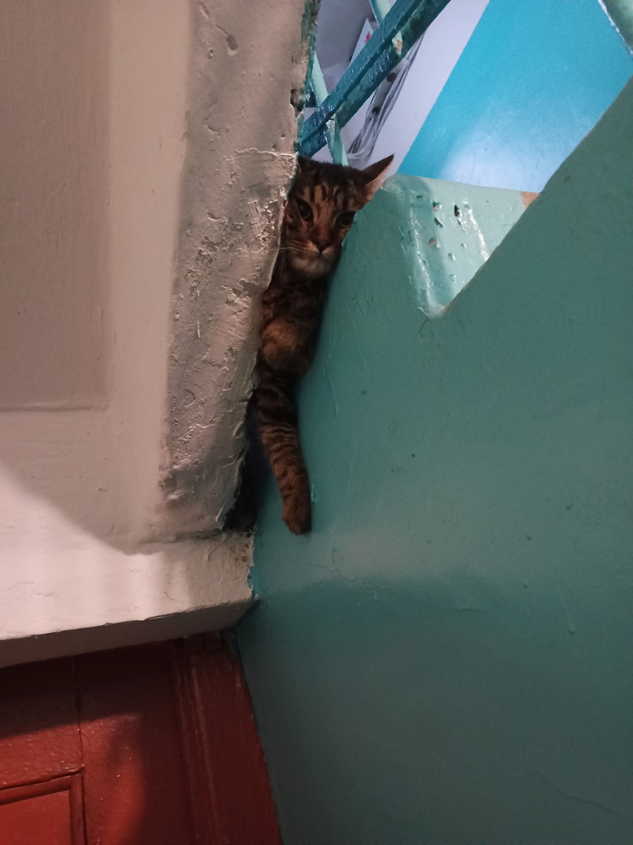 Как? И зачем? 