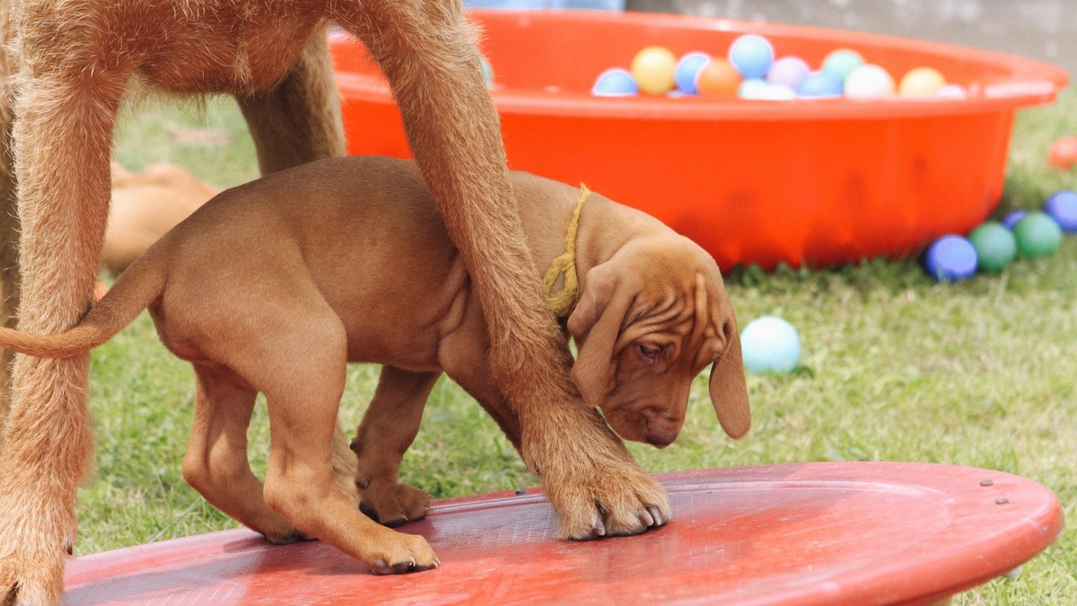    Совместные игры помогут укрепить отношения