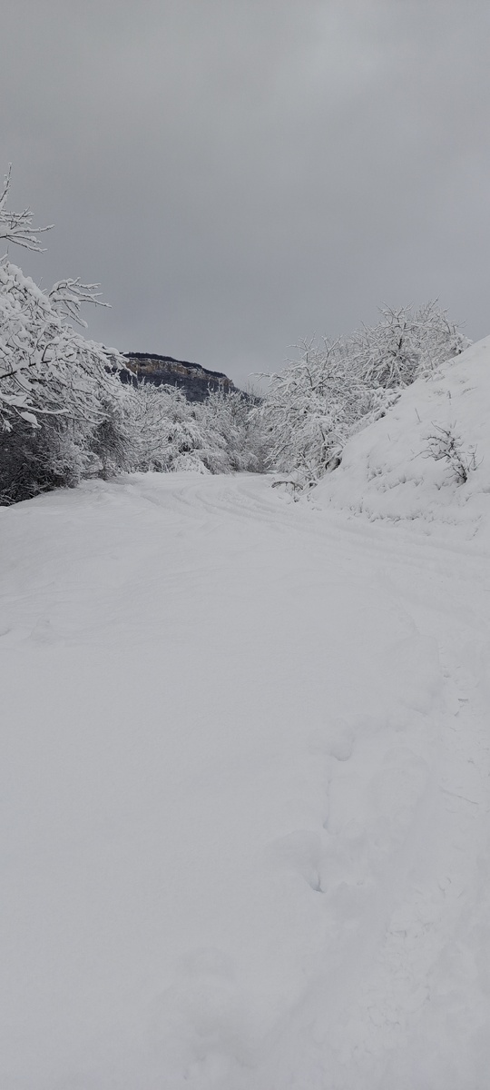 Вот такая у нас сейчас зима.