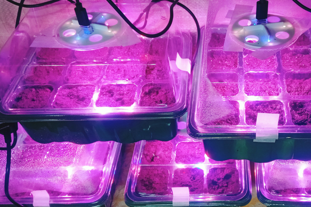 Мои новые теплички с подсветкой