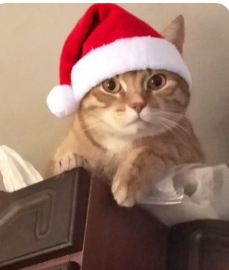 личное фото