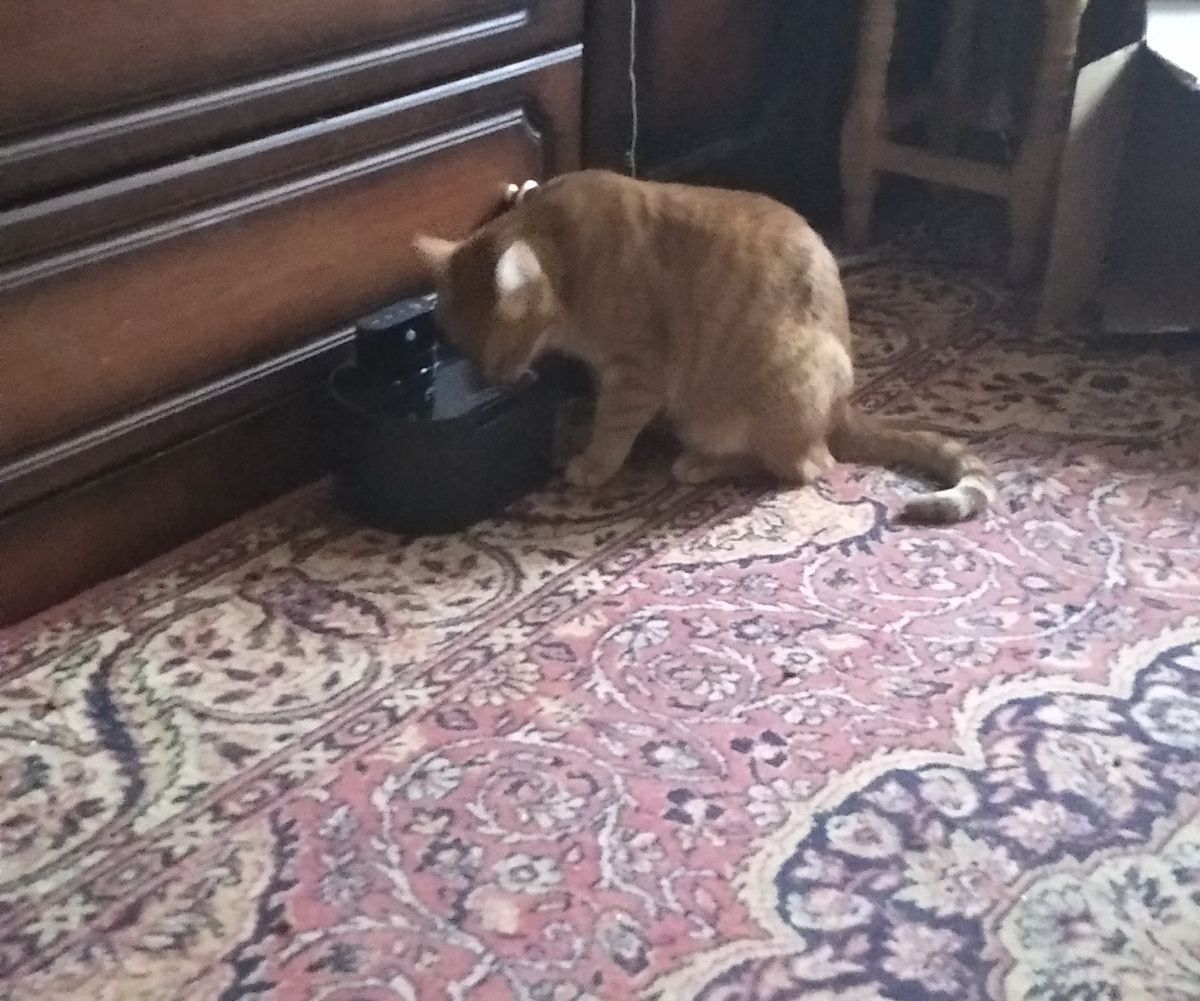 личное фото