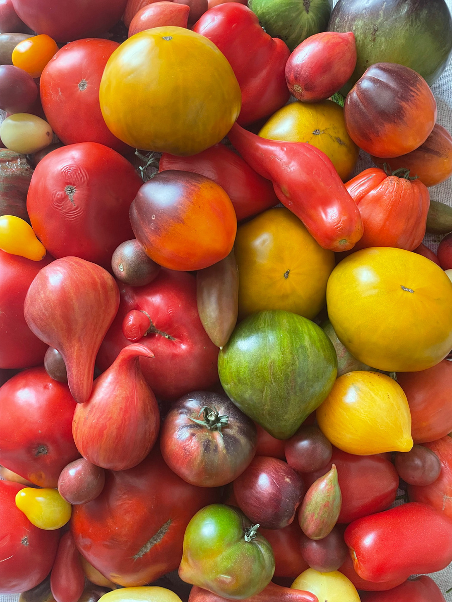 Фото автора. Сезон 2025