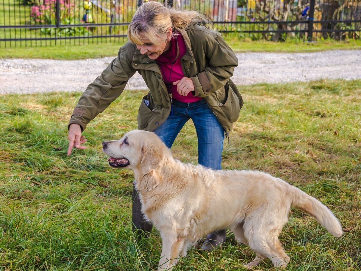 Собака не слушается хозяйку 