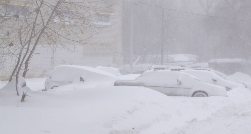    Фото: © Салават Камалетдинов / «Татар-информ»