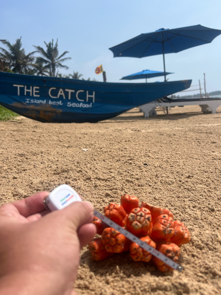 Наригама пляж