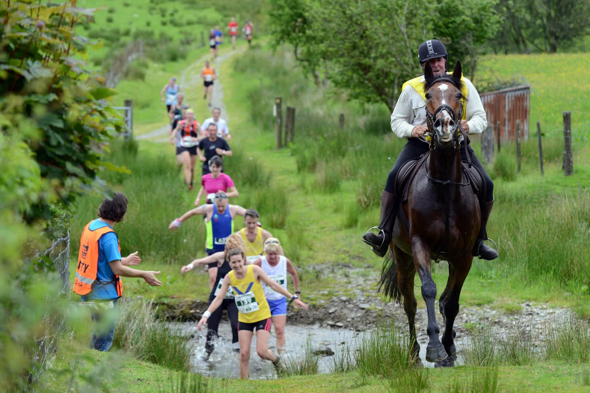 Фото: Man versus Horse Marathon