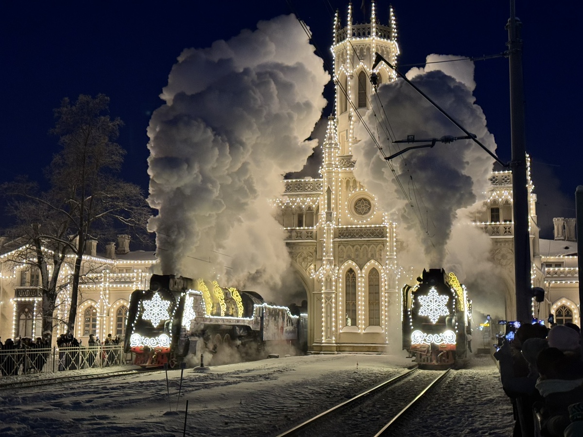 Поезд Деда мороза пребывает в Петергоф