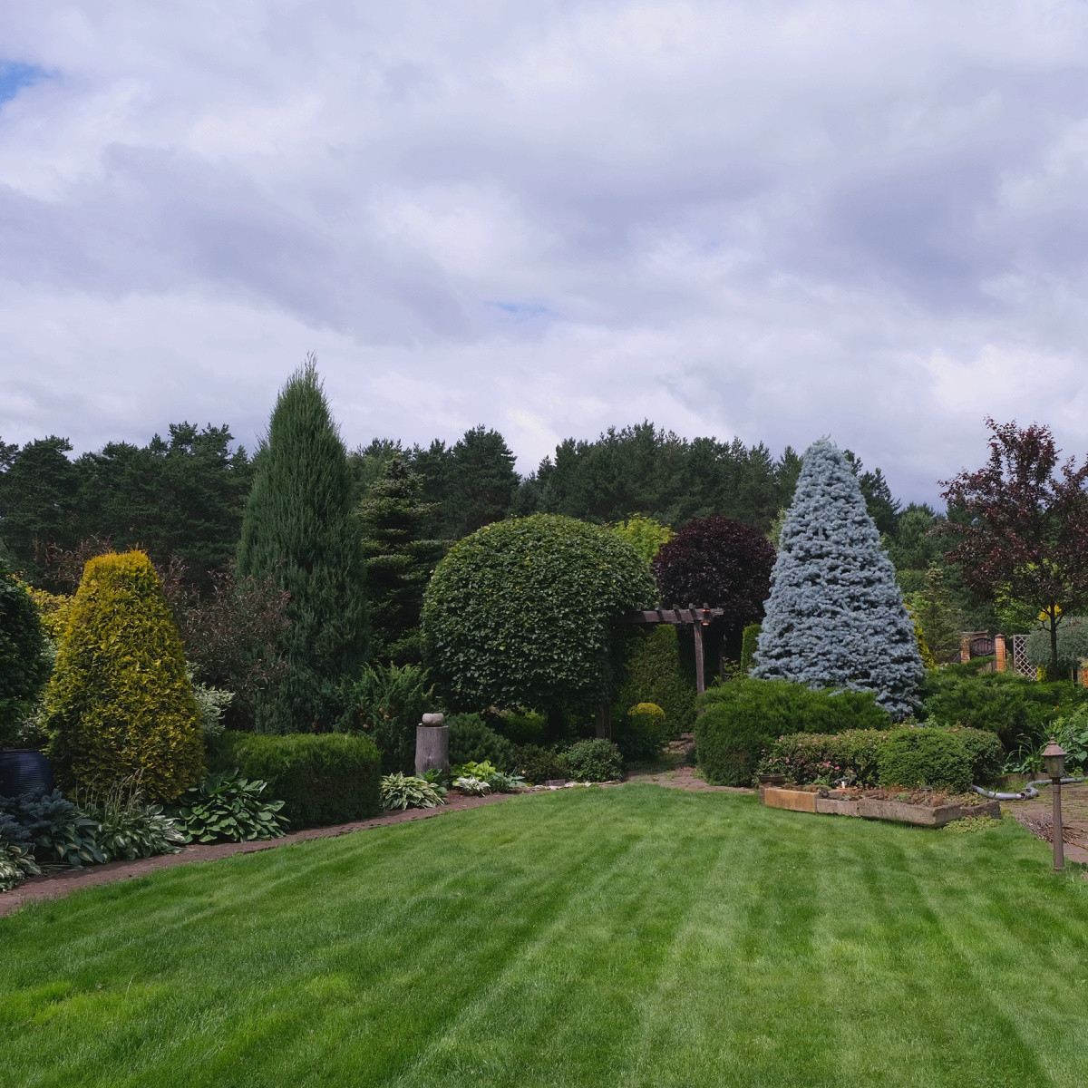 Общий вид на сад