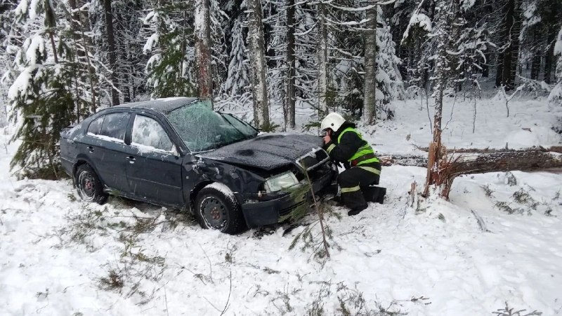    фото: © Госкомитет Карелии по безопасности населения