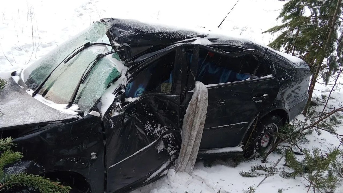    Автоледи госпитализировали после удара об дерево на трассе в Пряжинском районе © Госкомитет Карелии по безопасности населения