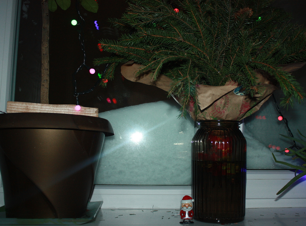    Дилия Мингазова / ИД «Вечерняя Казань»