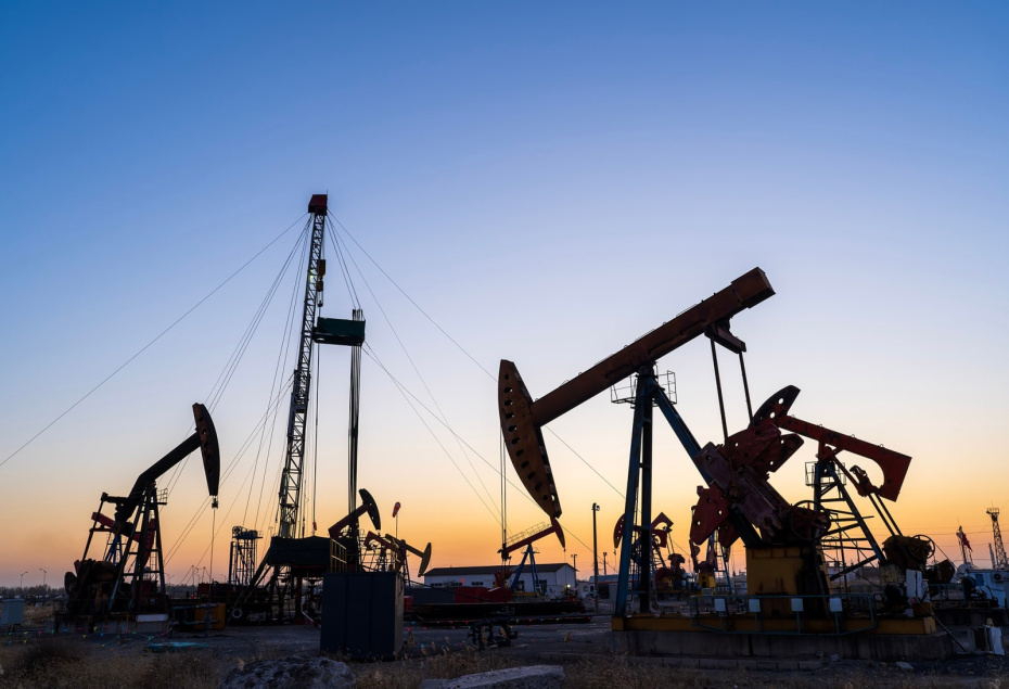    Shutterstock/FOTODOM