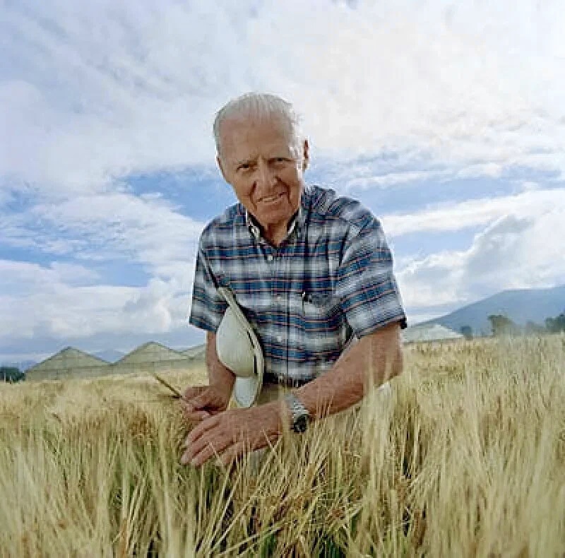 Норман Эрнест Борлоуг 