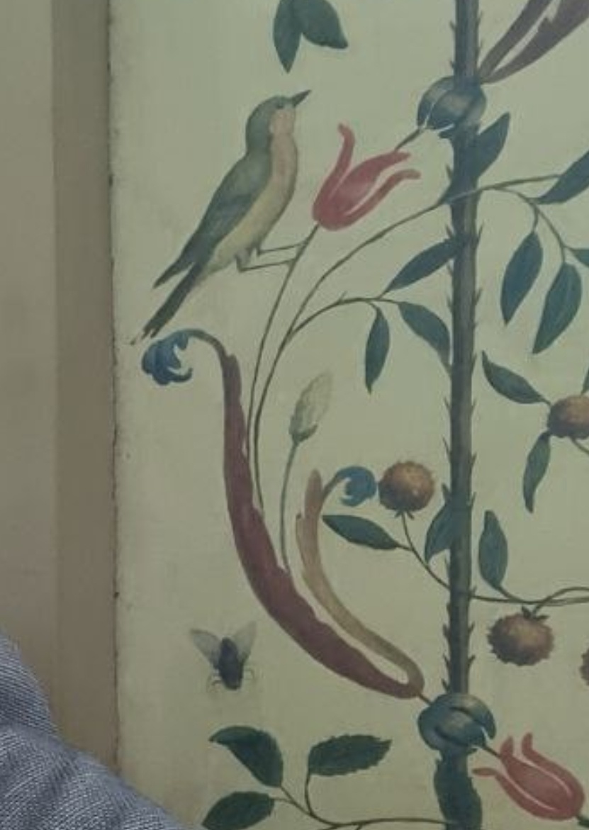 Фрагмент фотографии с мухой.