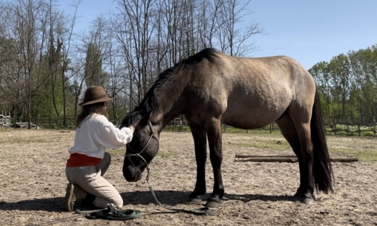 Вятский Будулай