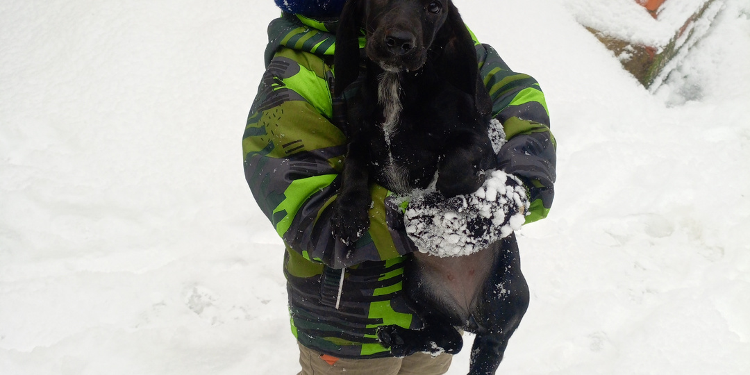 Про день вчерашний.