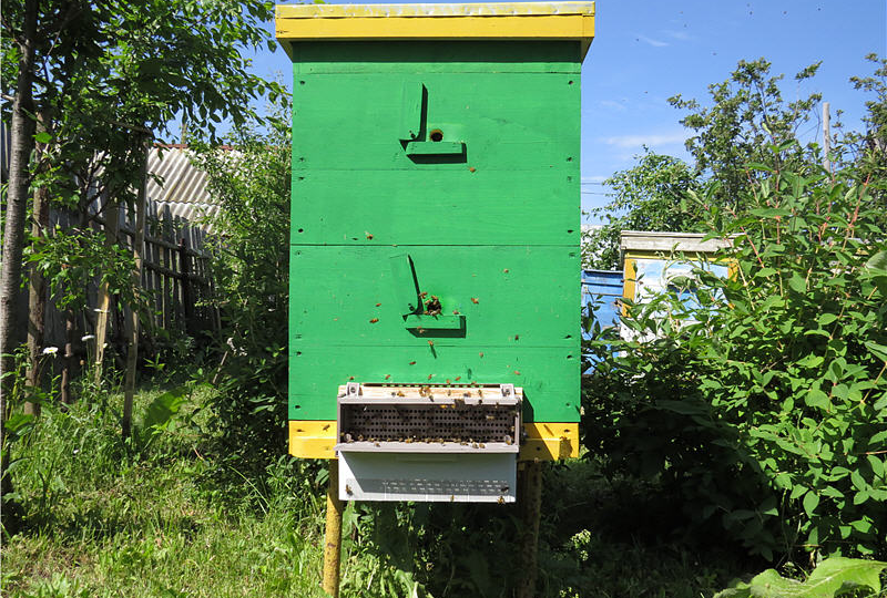 Двухкорпусное содержание пчел. Суперметод!