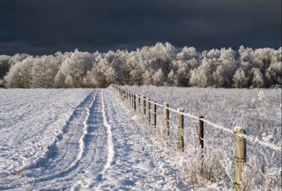Изображение из открытых источников