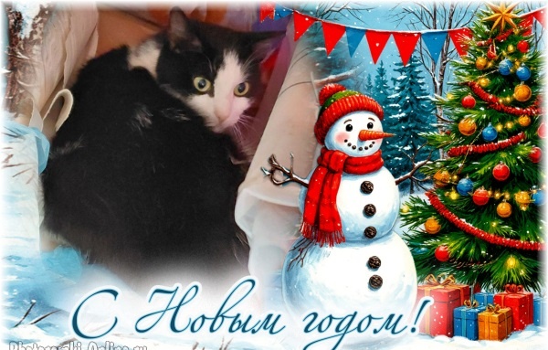 ФЫРЧИК ПОЗДРАВЛЯЕТ ВСЕХ С НГ 🎄✨