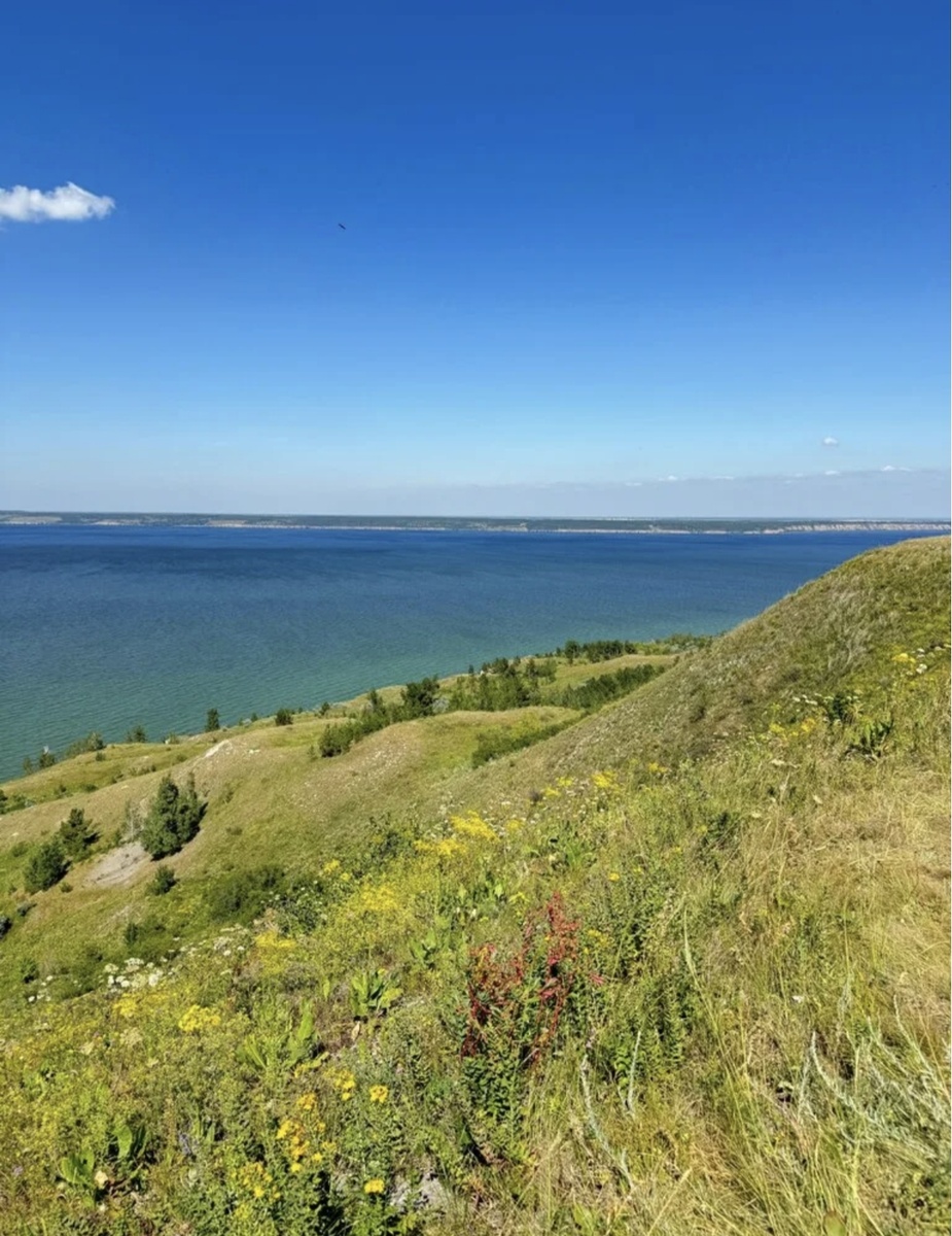 Фото 📷 из открытых источников