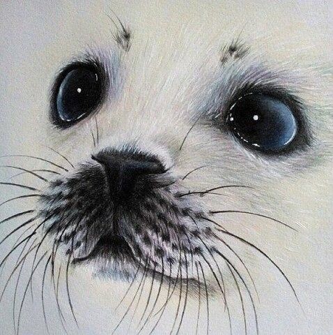 Фото из открытых источников. 