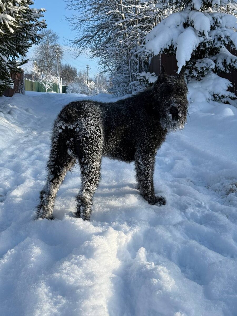 Вот как-то так это выглядело. :)