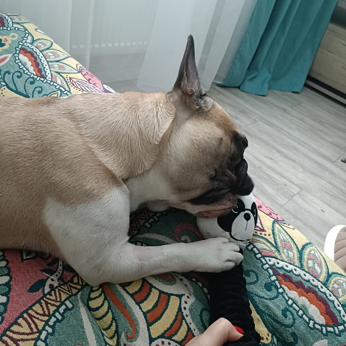 Это ещё до него