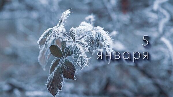    © Photo : Nadine Wuchenauer: Pexels