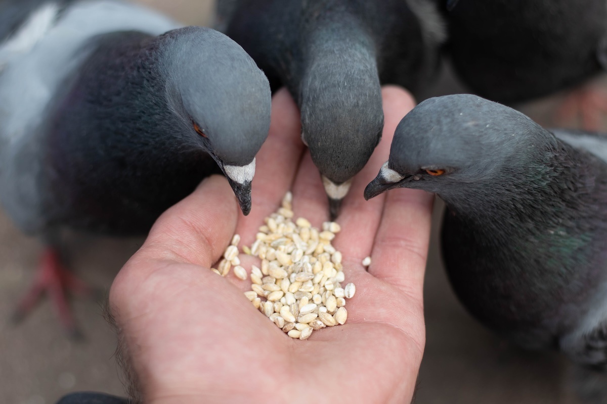    Фото: 06shep15 / Shutterstock.com