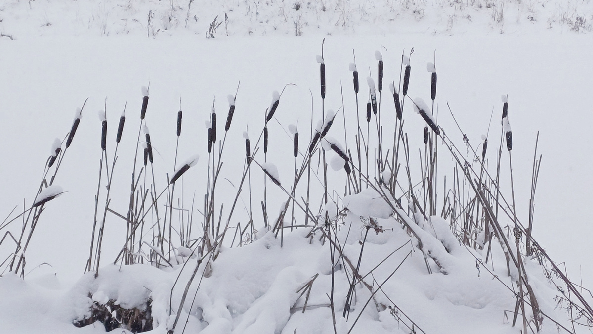 Фото Татьяны Федотовой