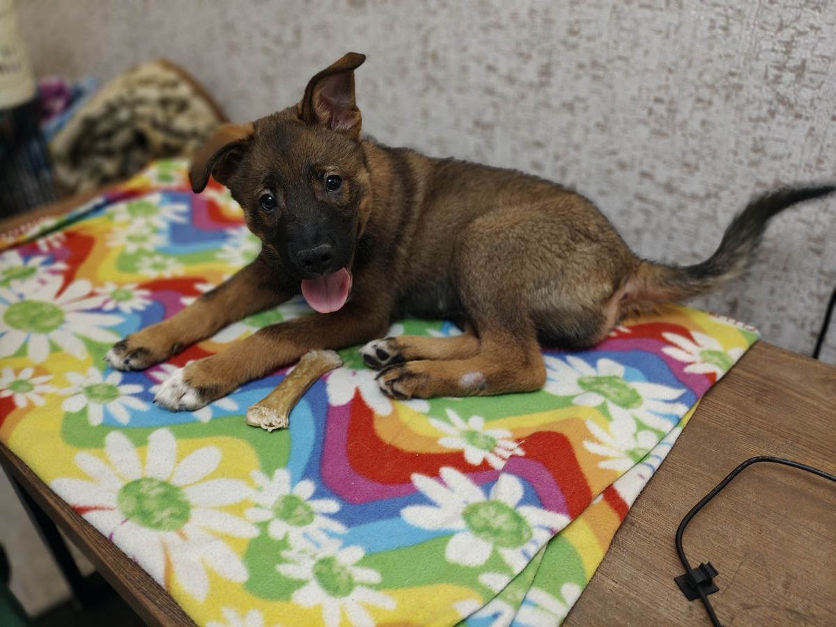 Кай - скромный мальчик