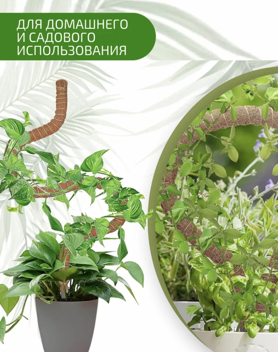 Скриншот с приложения Wildberries 