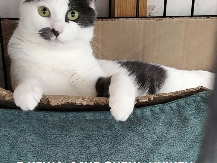 Малыш Кеша тоже хочет выбраться из клетки и ждёт Новогоднее Чудо🎄✨