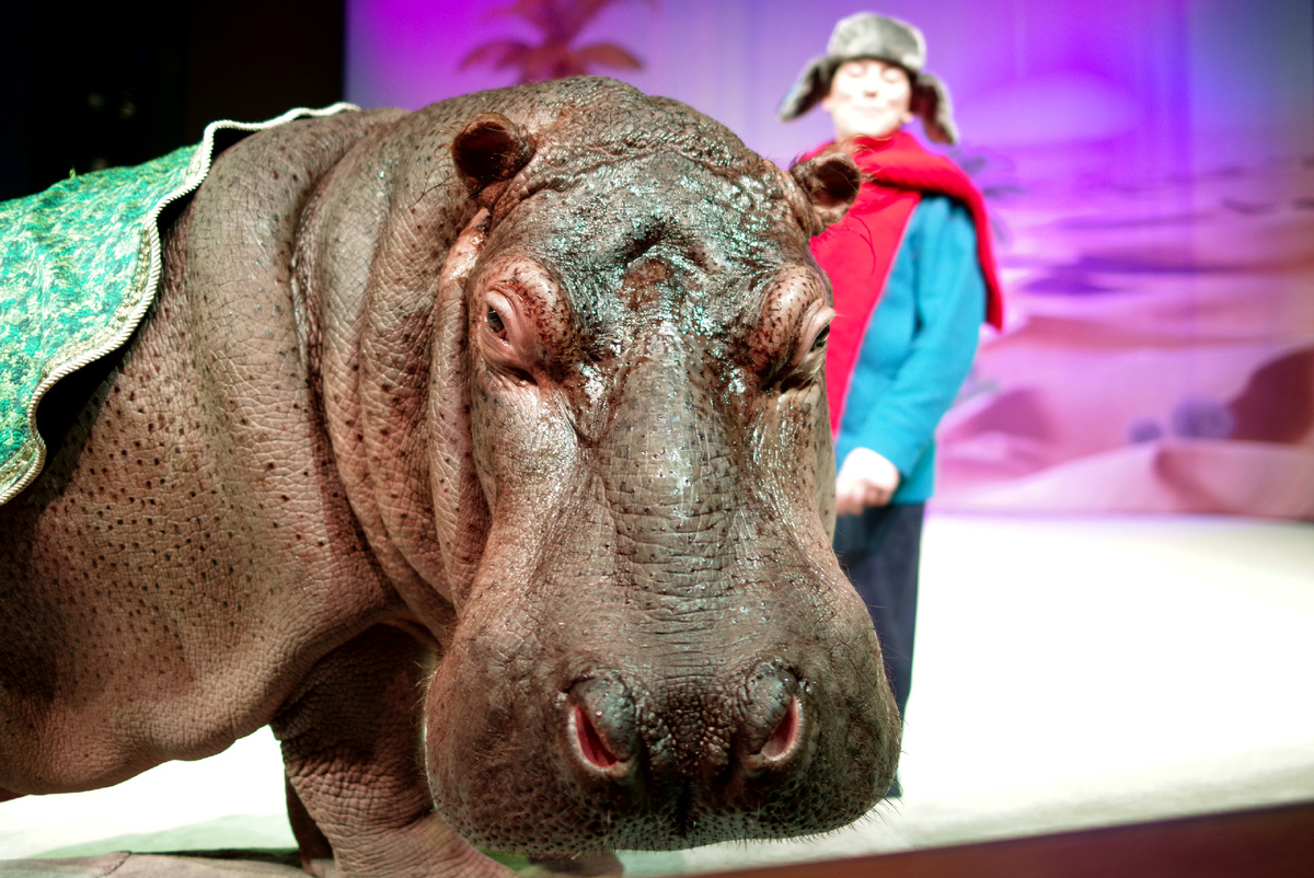 Знакомые всё лица: бгемот Добрыня.