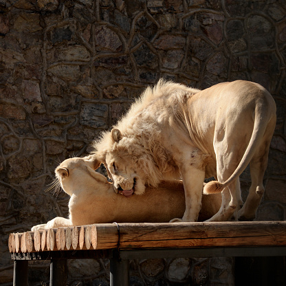 Первые 10 раз все идет неплохо