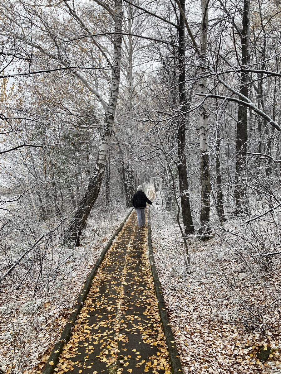 Таинство исчезающего первого снега в октябре 2025 г., гор. Кыштым, пос. Увильды.