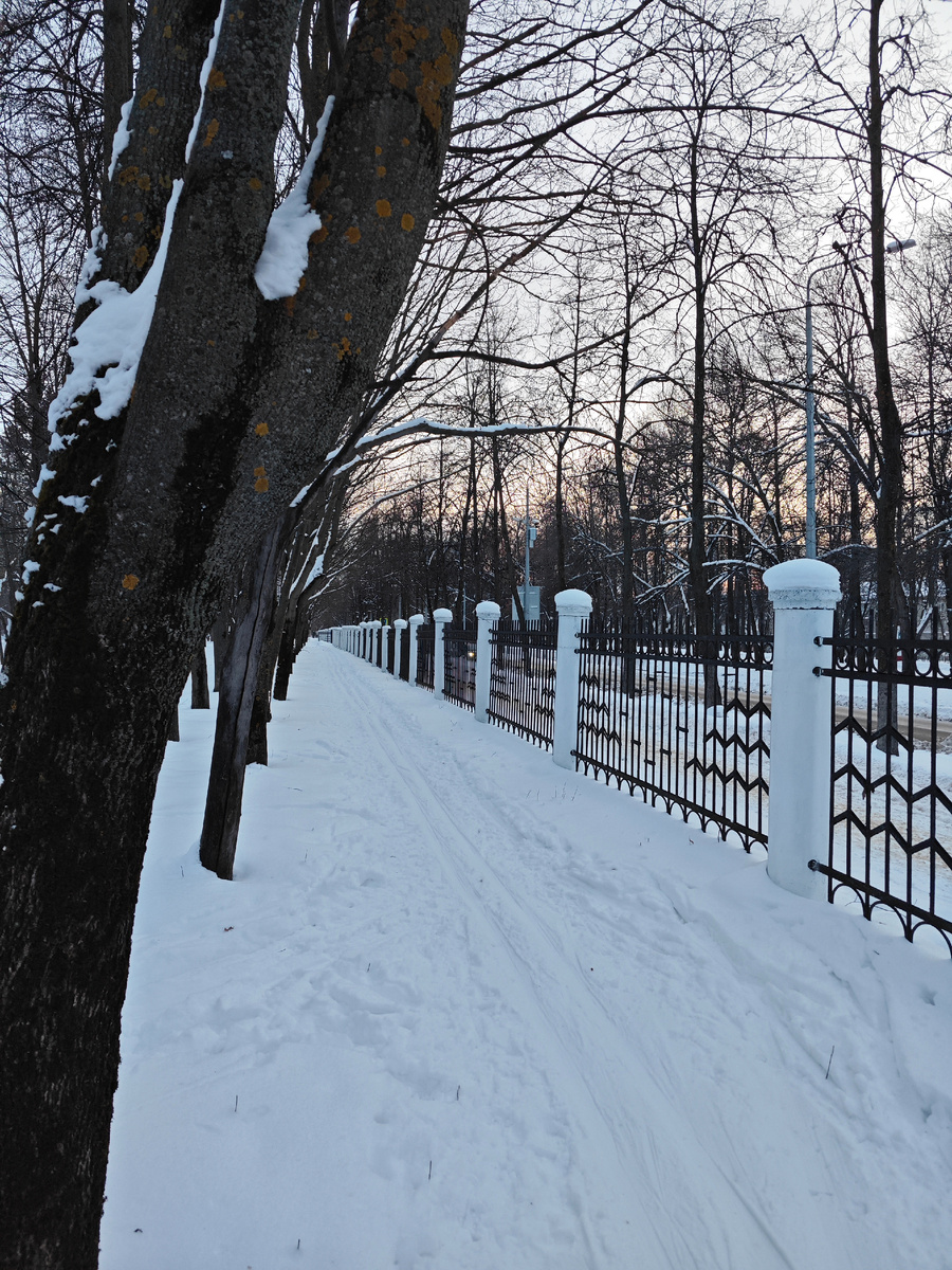 Парк Семья. Лыжня