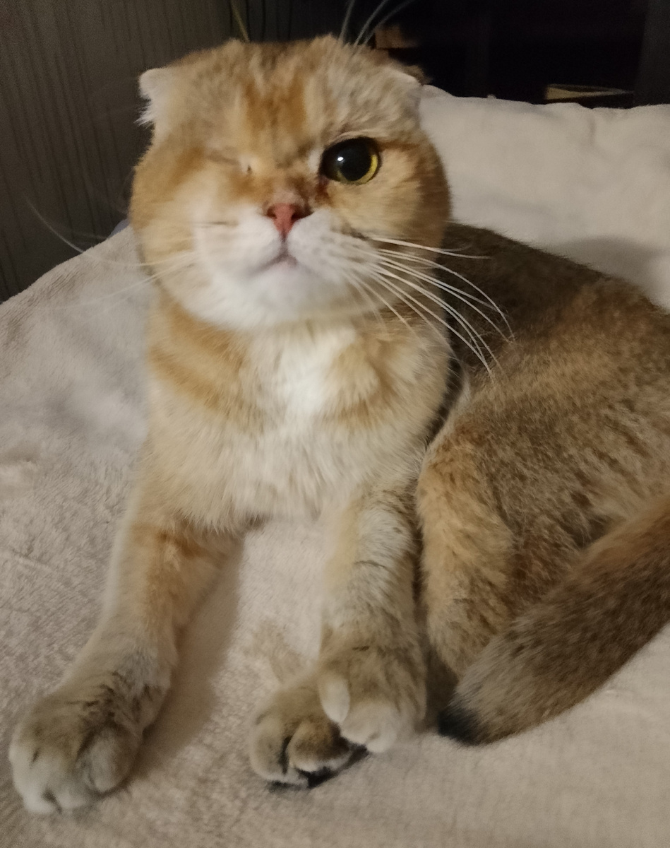 Когда, Наташа, когда ты уже уйдешь на работу?! Надоела! 