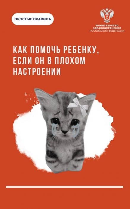 Как помочь ребёнку справиться с плохим настроением
Фото: Минздрав РФ