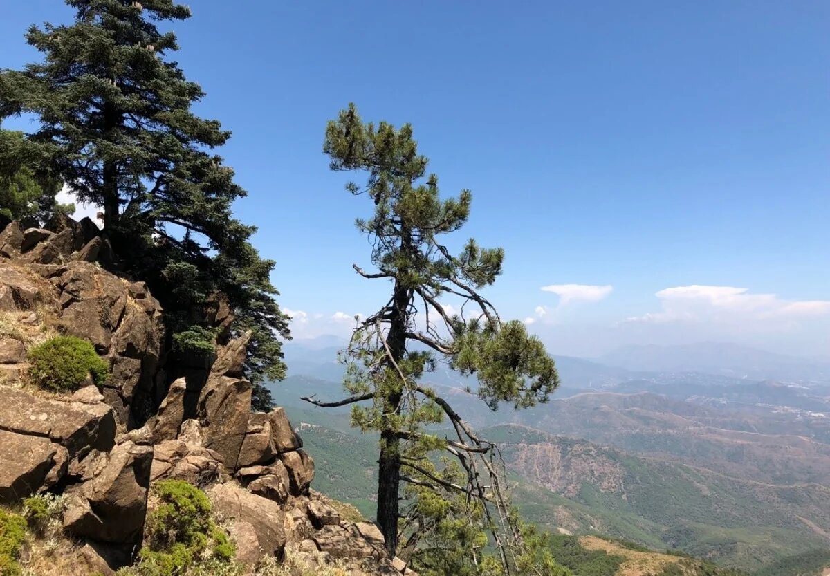 Фото: UfacityNews.ru